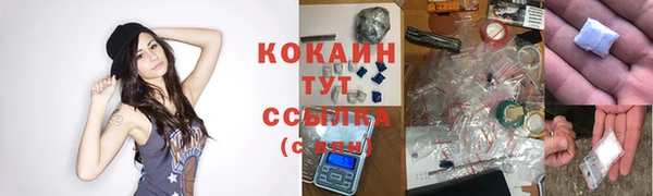 прущая мука Армянск