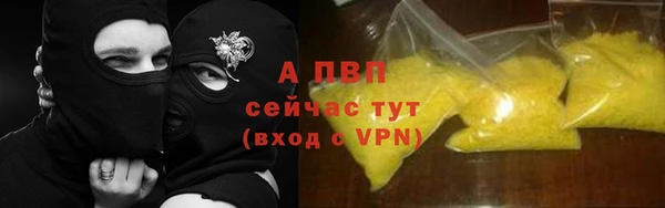 амф Аркадак
