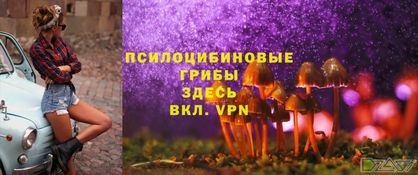 амф Аркадак