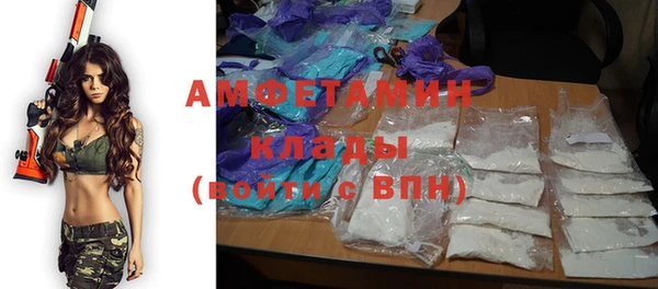 амф Аркадак